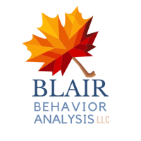 Services – Blair Behavior Analysis LLC